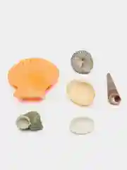 Набор ракушек 100 г, микс №1