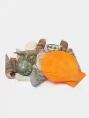 Набор ракушек 100 г, микс №1