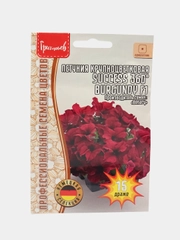 Петуния SUCCESS 360 Burgundy F1 (семена,цветы)