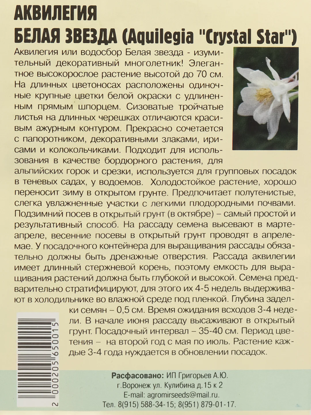 Аквилегия (водосбор) Белая Звезда (семена,цветы)