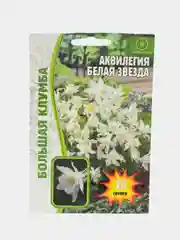 Аквилегия (водосбор) Белая Звезда (семена,цветы)