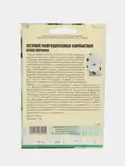 Петуния компактная Белая Королева (семена,цветы)