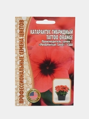 Катарантус Tattoo Orange F1 (семена,цветы)
