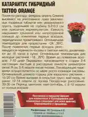 Катарантус Tattoo Orange F1 (семена,цветы)