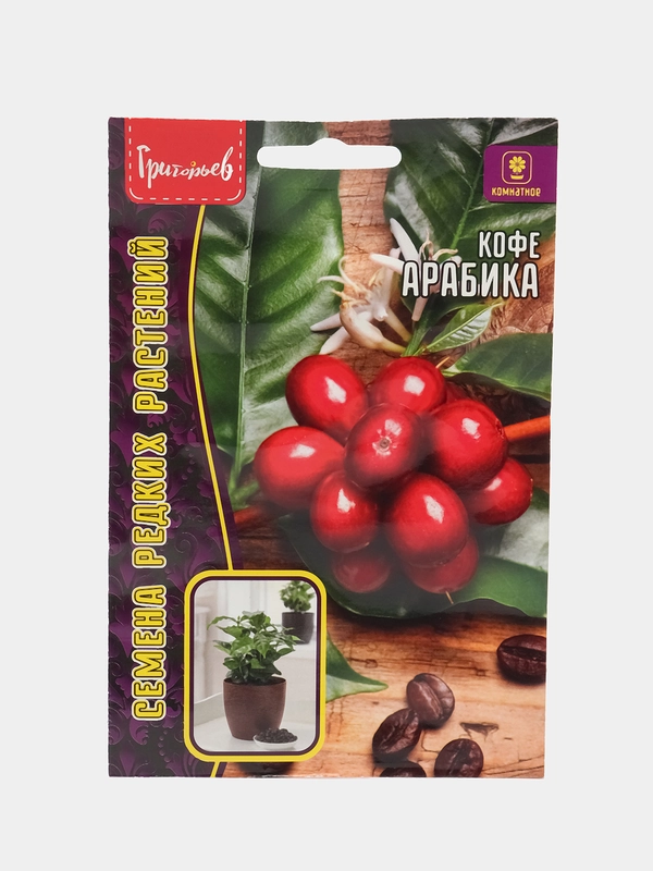 Кофе Арабика (семена)