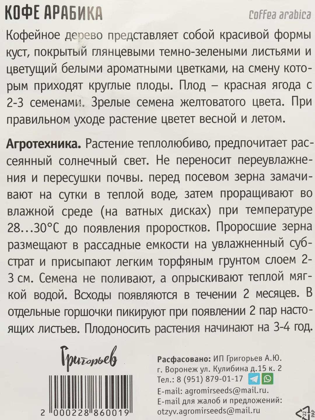 Кофе Арабика (семена)