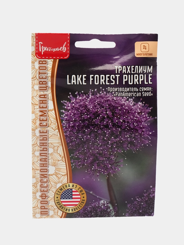Трахелиум Lake Forest Purple (семена,цветы)