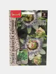 Пассифлора Съедобная (Маракуйя) (семена,цветы)
