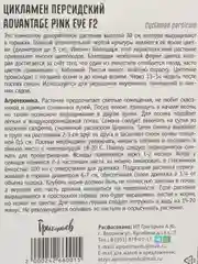Цикламен персидский Advantage Pink Eye F2 (семена,цветы)