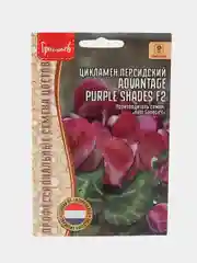 Цикламен персидский Advantage Purple Shades F2 (семена,цветы)