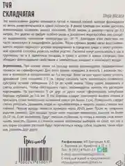 Туя Складчатая (семена)