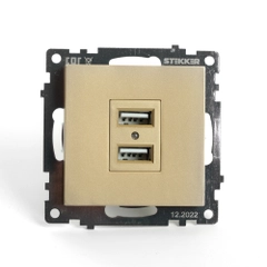 Розетка двухместная USB Катрин GLS10-7115-08, 250В, 2.1 А, золото