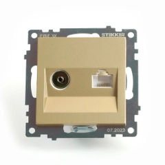 Розетка Stekker TV + компьютерная RJ-45, серия Катрин, золото, GLS00-7106-08