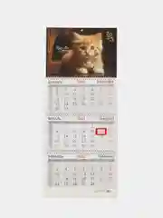 Календарь настенный квартальный отрывной 2025 Brauberg Котенок, 116106