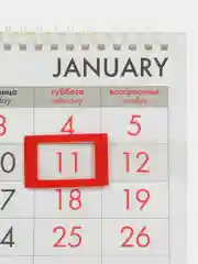 Календарь настенный квартальный отрывной 2025 Brauberg Котенок, 116106