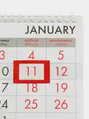 Календарь настенный квартальный отрывной 2025 Brauberg Тюльпаны, 116109