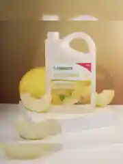 Гель для душа SYNERGETIC BODY THERAPY Спелая дыня, 3,5 л