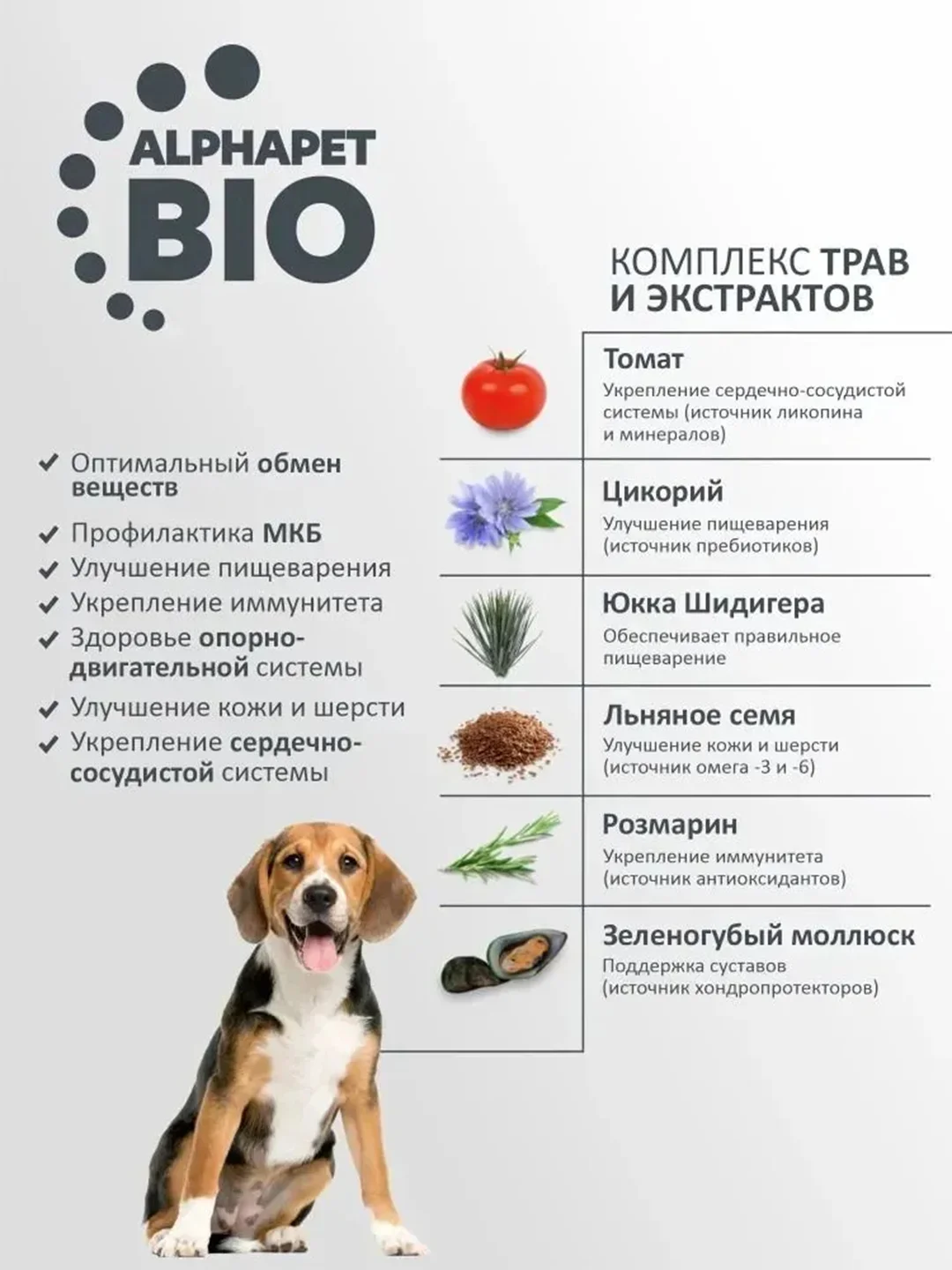 АльфаПет WOW 15кг с ягненком и бурым рисом сухой д/взр. собак сред. пород с чувств.пищевар