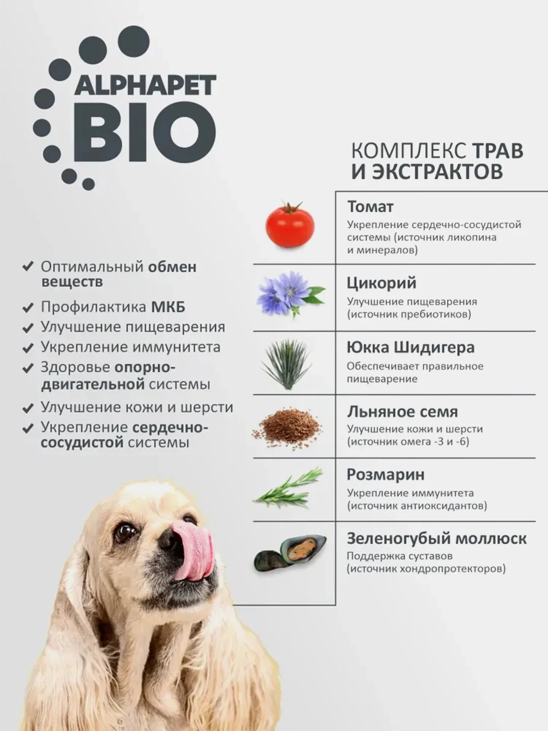 АльфаПет 7кг с индейкой и рисом сухой д/взрослых собак мелких пород (652291)