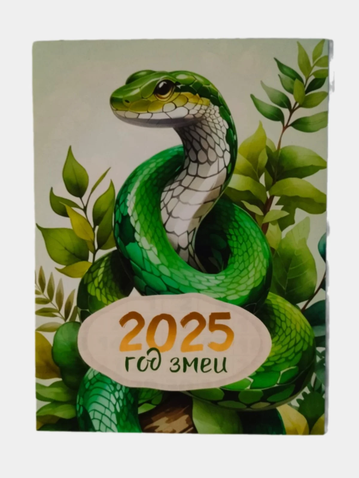 Зеленый календарь отрывной на магните 2025 год. Символ года Змея