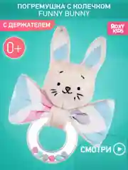 Ледяной игрушка Погремушка