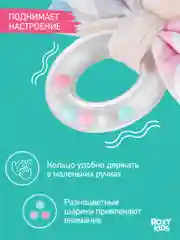 Ледяной игрушка Погремушка
