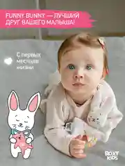 Ледяной игрушка Погремушка