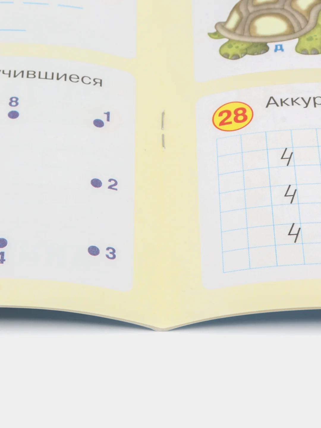 50 развивающих заданий: для детей 6 лет