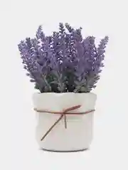 Фиолетовый цветы искусственные и растения в горшке, лаванда