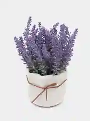 Фиолетовый цветы искусственные и растения в горшке, лаванда