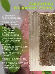 Кошачья мята, лакомство для кошек, 1 гр