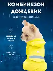 Алый комбинезон-дождевик с капюшоном для собак