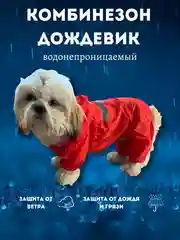 Красный комбинезон-дождевик с капюшоном для собак