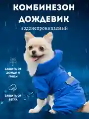 Комбинезон-дождевик с капюшоном для собак