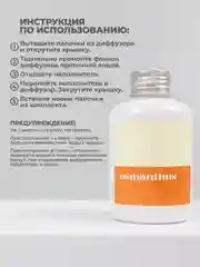 Рыжий ароматический диффузор для дома, наполнитель, 100 мл, 5 палочек из фиброволокна