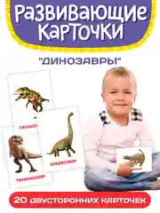 Белый развивающие карточки для детей двусторонние 19 шт. 120х180 мм. Проф-Пресс