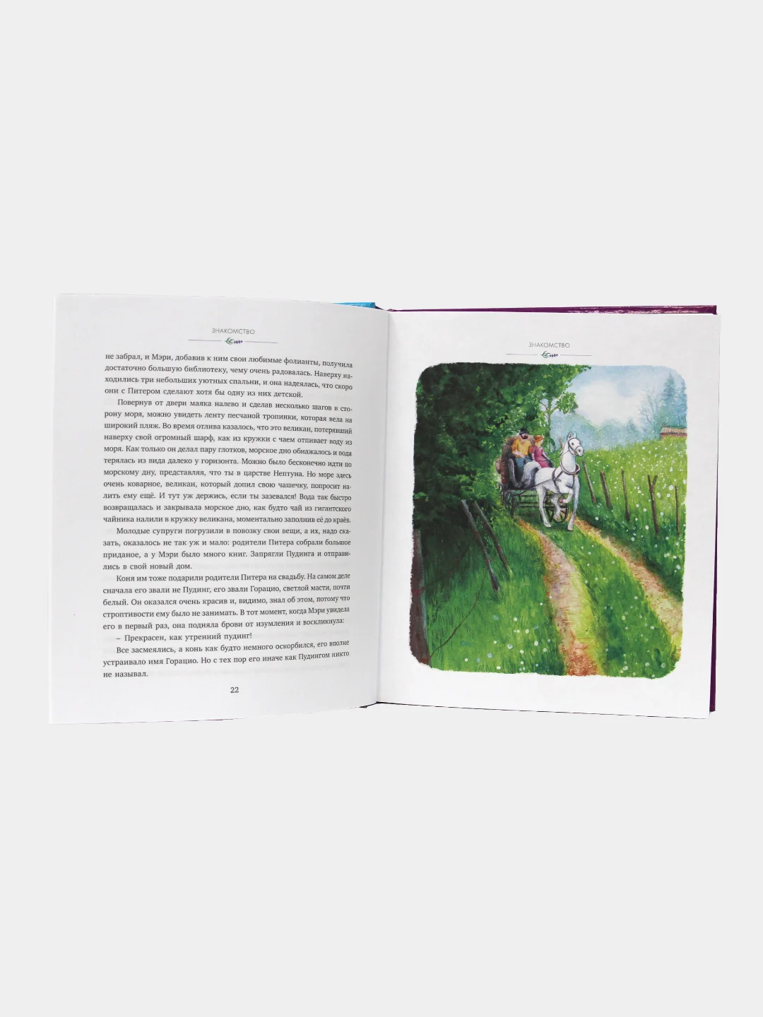 Книга фэнтези для детей "Возвращение на седьмой холм" Оливия Вульф, 256 стр. Проф-Пресс