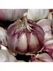 Чесночное масло 20 мл.