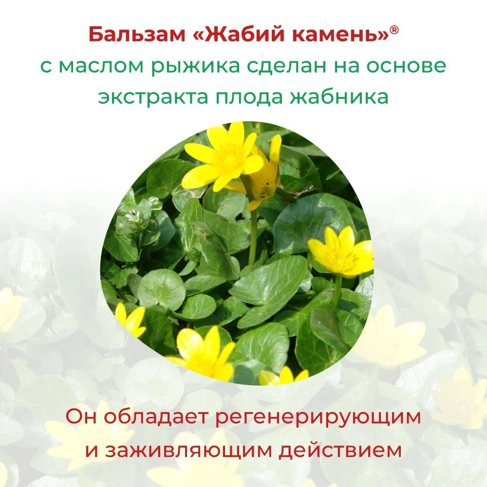 Жабий Камень бальзам активирующий для тела с маслом рыжика, 50 г.