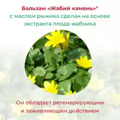 Жабий Камень бальзам активирующий для тела с маслом рыжика, 50 г.