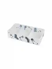 Коробка для белья Рыжий кот PSB-02/6-P, 6 ячеек, 30х15х7 см