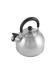 Чайник для плиты Mallony MAL-039-MP 2.5 л, матовый