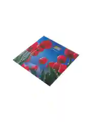 Весы напольные электронные HomeStar HS-6001I  (стеклянная поверхность, 180 кг)