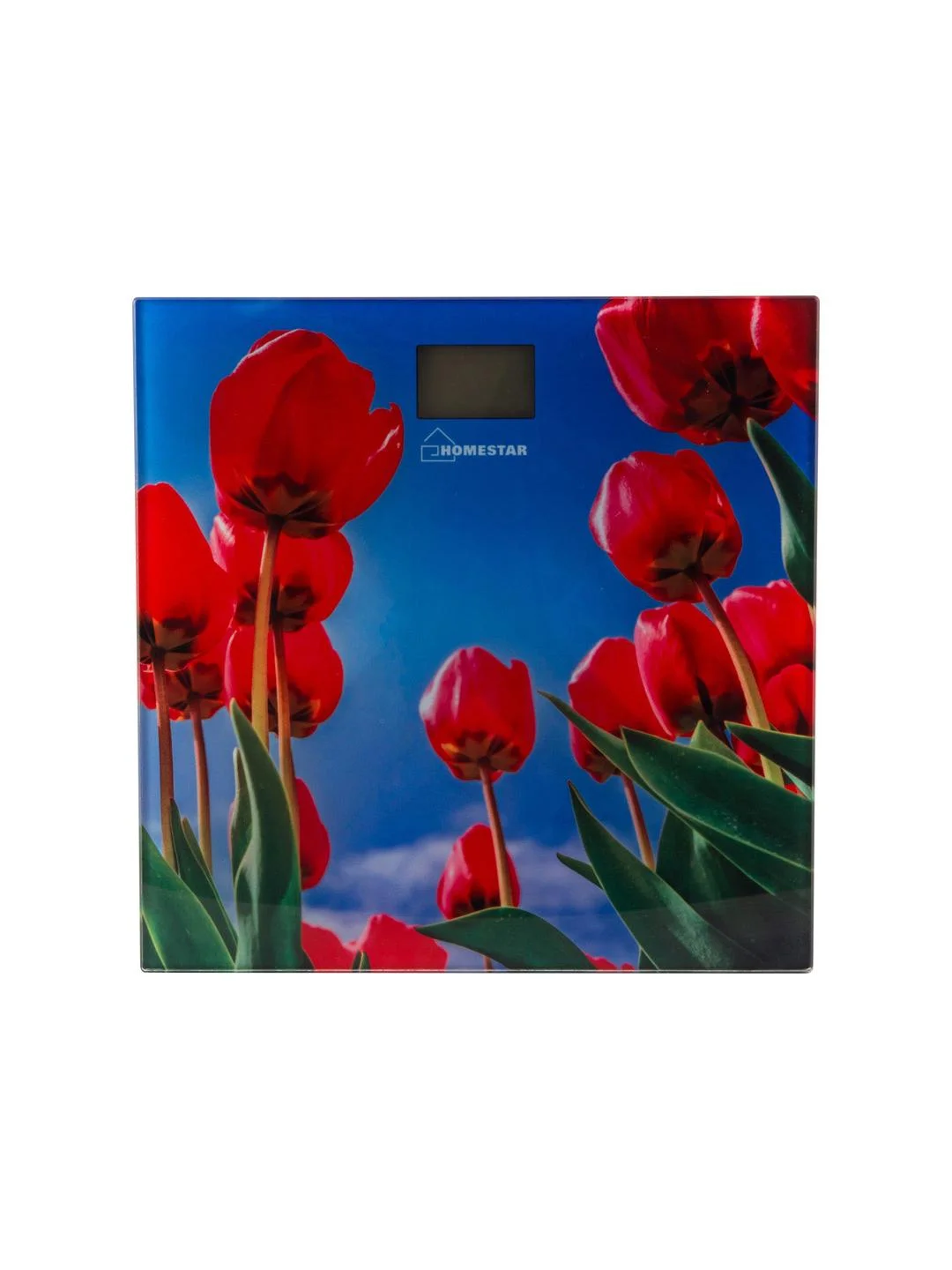 Весы напольные электронные HomeStar HS-6001I  (стеклянная поверхность, 180 кг)