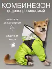 Зеленый одежда для собак, дождевик для собак, с капюшоном, комбинезон, плащ "The DogFace"