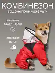 Красный одежда для собак, дождевик для собак, с капюшоном, комбинезон, плащ "The DogFace"