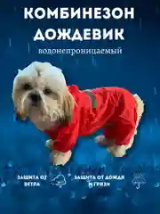Комбинезон-дождевик с капюшоном для собак