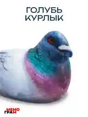 Мягкая игрушка антистресс Голубь