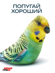 Мягкая игрушка антистресс Попугай