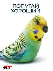 Мягкая игрушка антистресс Попугай